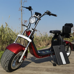 Citycoco smart self balance electric scooter 18inches Europe in stock
